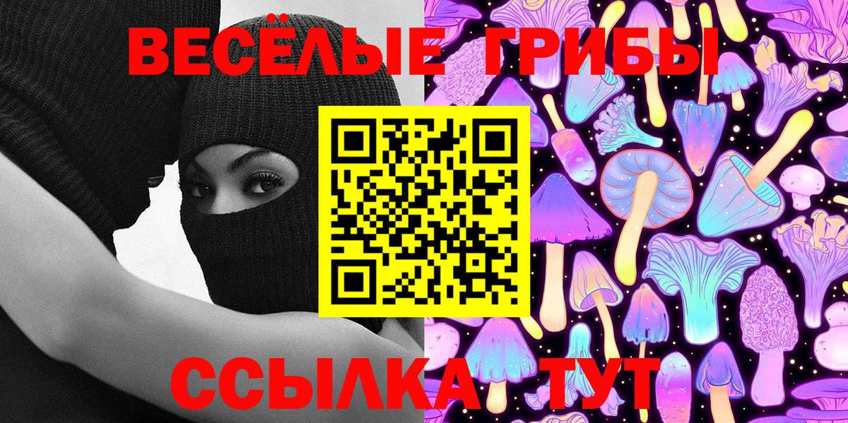 Псилоцибиновые грибы Psilocybe Грязи
