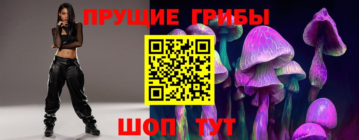 Грязи  Галлюциногенные грибы Cubensis  Вход с VPN  Галлюциногенные грибы GOLDEN TEACHER 